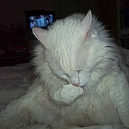 Wollywell participe au concours pour gagner de l'argent avec cette photo :