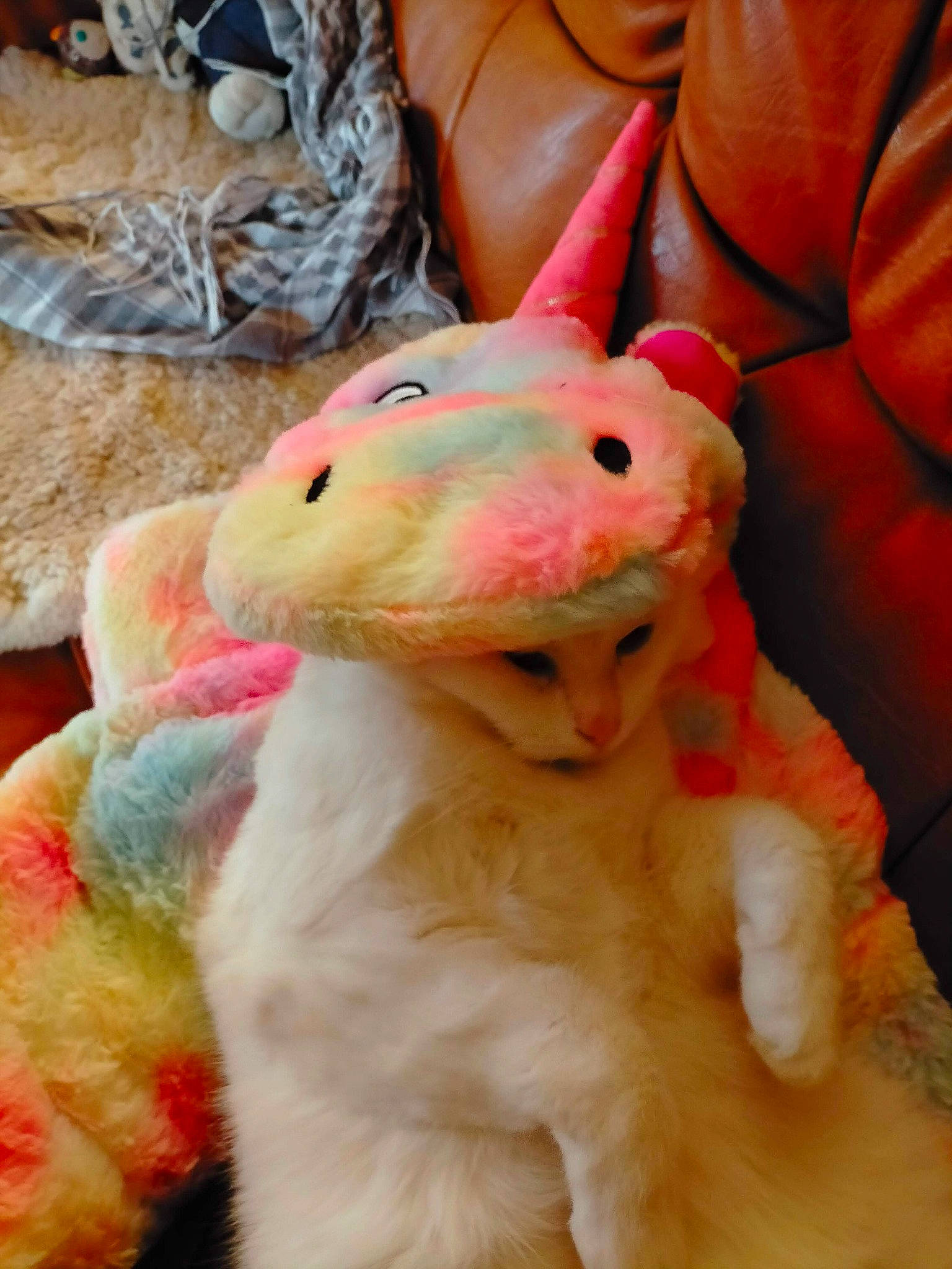 Onyx participe au concours pour gagner de l'argent avec cette photo : amphibian, baby_toys, canidae, comfort, event, fawn, felidae, finger, foot, fur, pink, plush, rabbit, rabbits_and_hares, snout, stuffed_toy, tail, terrestrial_animal, toy, whiskers