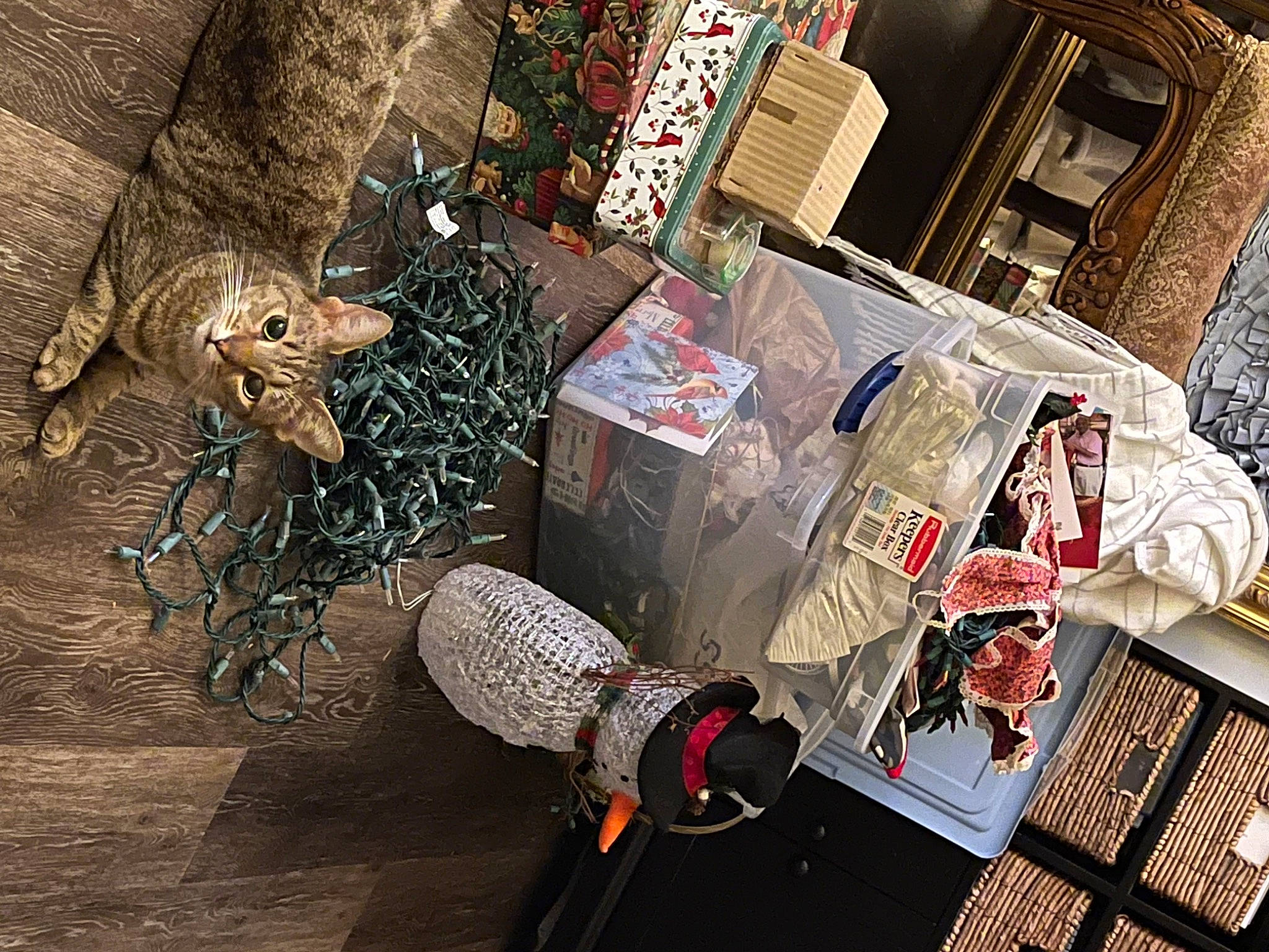 Meme is registered to the contest to win money with this photo: art, carmine, cg_artwork, collection, drawer, fashion_design, fiction, fictional_character, flooring, games, graphic_design, illustration, metal, pattern, room, space, toy, visual_arts, wood, world