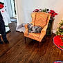 armchair, blanket, christmas_tree, cozy, decor, dog, dog_bed, festive, furniture, greenery, holiday_decorations, indoor, living_room, orange_chair, person_partial, pet, red_flowers, relaxed, toys, wooden_floor