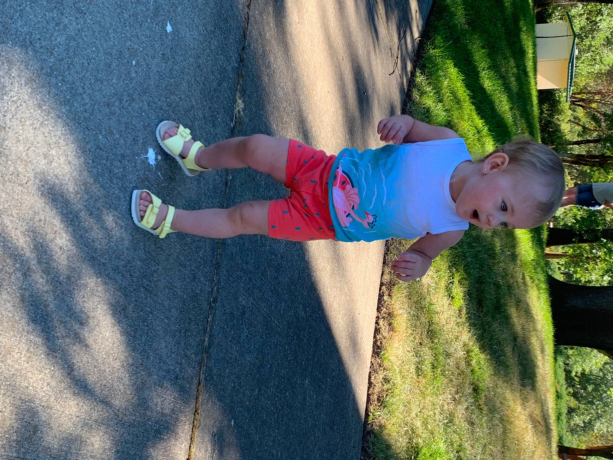 Haisleigh is registered to the contest to win money with this photo: asphalt, baby, baby_toddler_clothing, electric_blue, foot, fun, grass, grass_family, happy, human_leg, knee, leisure, people_in_nature, person, plant, recreation, shadow, surprise, thigh, toddler