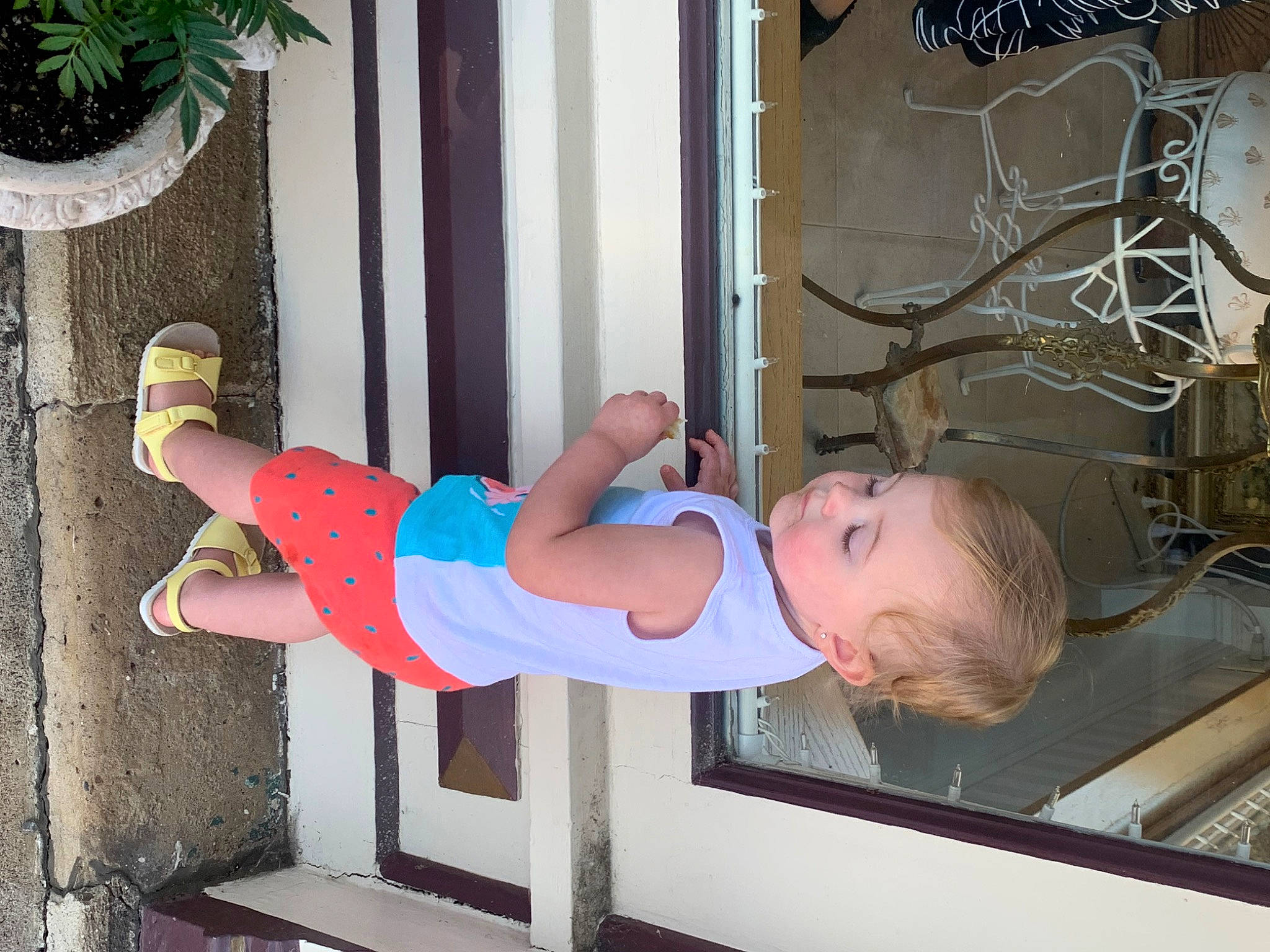 Haisleigh joined the competition — help win amazing prizes! baby, baby_toddler_clothing, balance, child, elbow, flowerpot, houseplant, human_leg, metal, person, plant, room, thigh, toddler, wrist