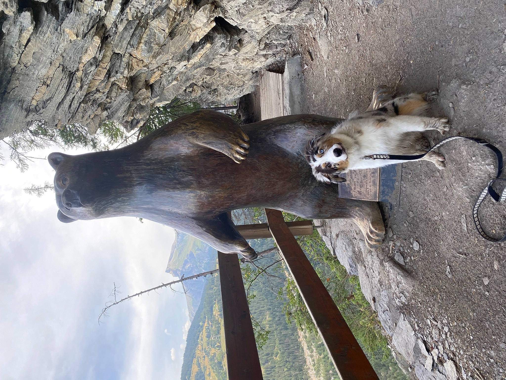 Saïko participe au concours pour gagner de l'argent avec cette photo : art, cloud, metal, plant, sculpture, sky, snout, terrestrial_animal, tree, trunk, water, wood, working_animal