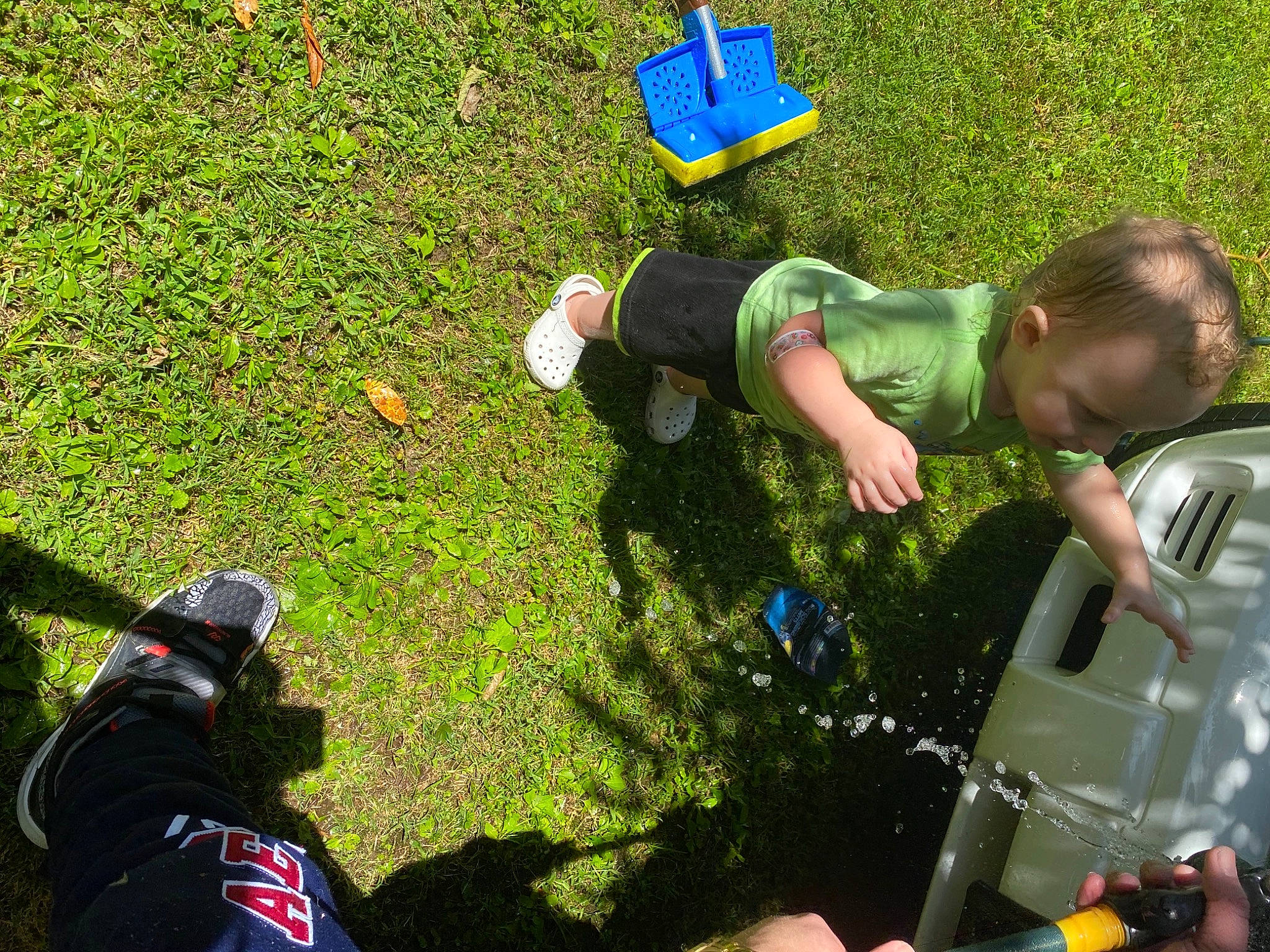 Aspen joined the competition — help win amazing prizes! fun, grass, lawn, leisure, person, plant, recreation