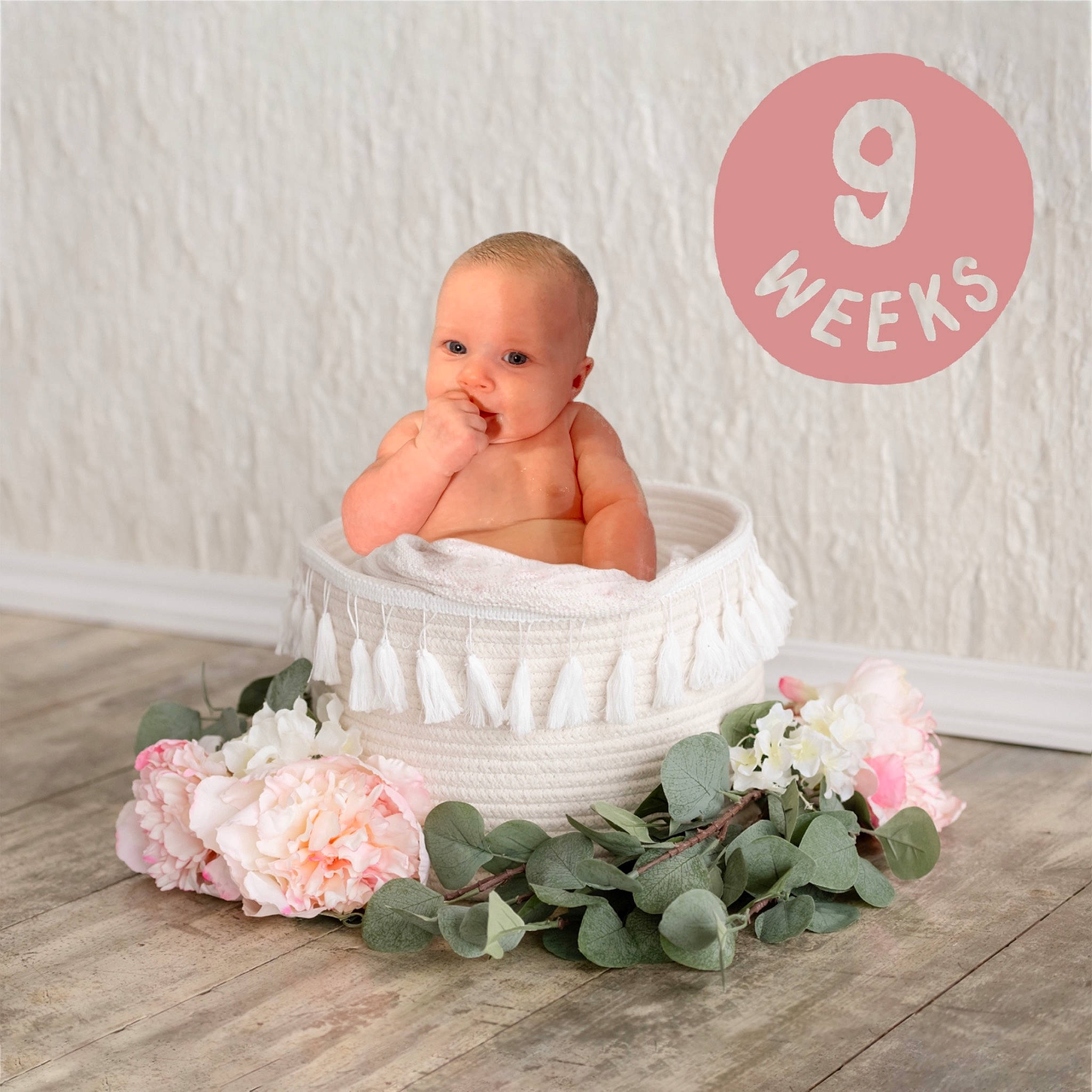 Huxley joined the competition — help win amazing prizes! baby, baby_products, baby_toddler_clothing, comfort, event, flooring, flower, font, grass, hair_accessory, happy, headpiece, linens, person, petal, picture_frame, pink, plant, product, toddler