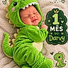 baby, blanket, cartoon_dinosaur, celebration, cozy, cute, dinosaur_costume, face, green, hood, indoors, milestone, newborn, nursery, one_month, onesie, plush, portrait, sleeping, smiling