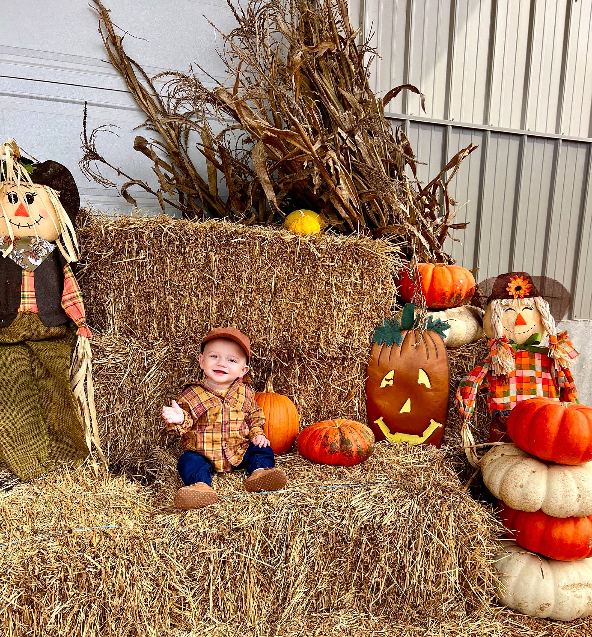 Blaze is registered to the contest to win money with this photo: agriculture, calabaza, cucurbita, event, gourd, grass, hat, hay, headwear, joy, local_food, natural_foods, people_in_nature, person, pumpkin, squash, still_life_photography, straw, twig, vegetable