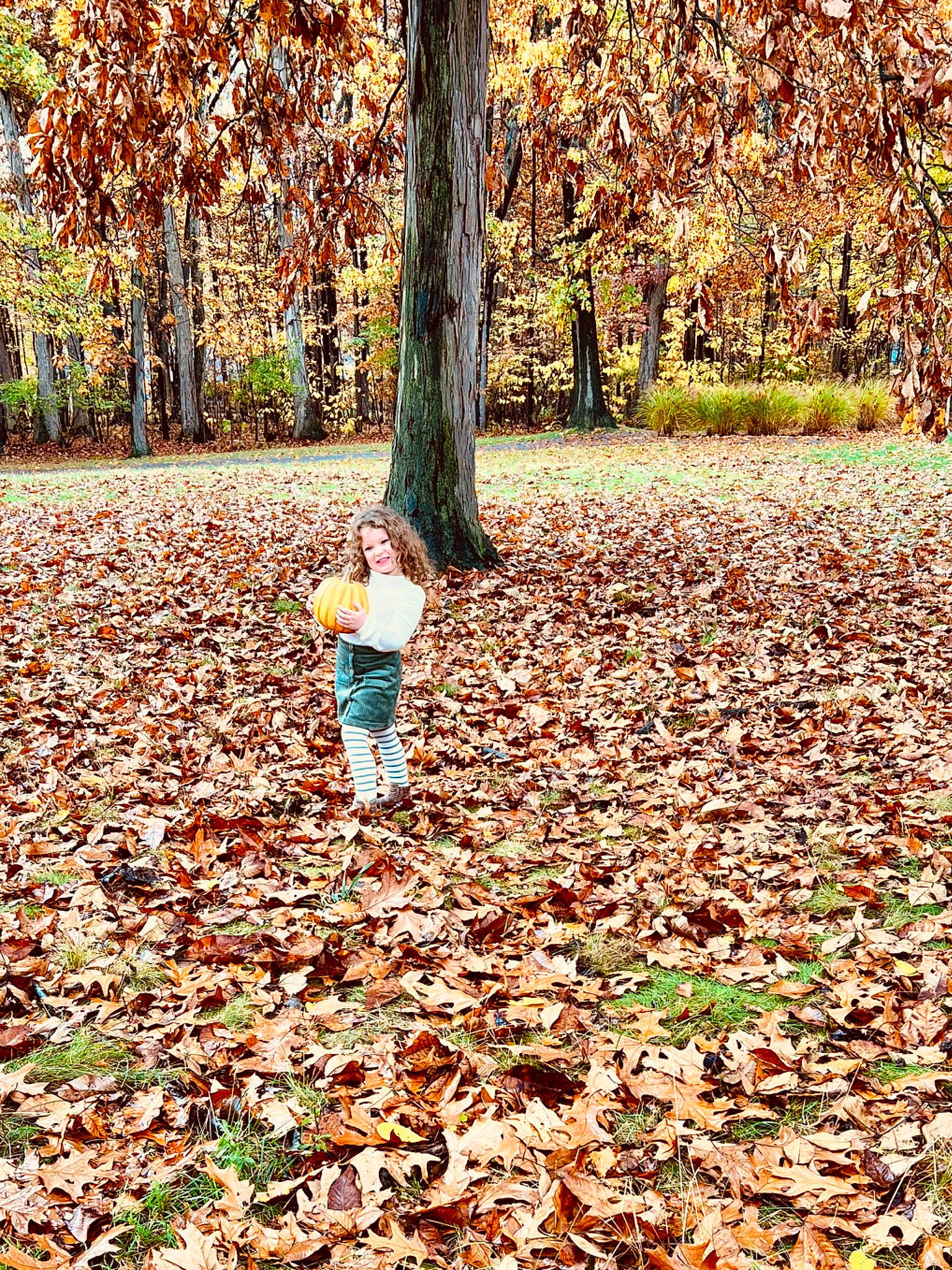 Piper is registered to the contest to win money with this photo: biome, branch, deciduous, forest, grass, groundcover, grove, joy, leaf, leisure, natural_environment, natural_landscape, people_in_nature, person, plant, temperate_broadleaf_and_mixed_forest, tints_and_shades, toddler, tree, trunk