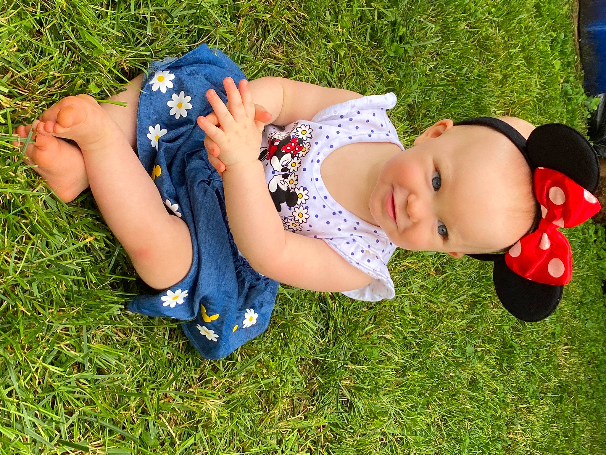 Piper is registered to the contest to win money with this photo: baby, child, fun, grass, grass_family, grassland, happy, lawn, leaf, leg, leisure, meadow, nap, person, photography, plant, play, summer, toddler, tree