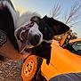 animal, black_and_white, canine, daylight, dog, gravel, happy, nature, outdoor, person_arm, pet, playful, sky, sunset, tongue_out, tree, truck, vehicle, watch, wheel