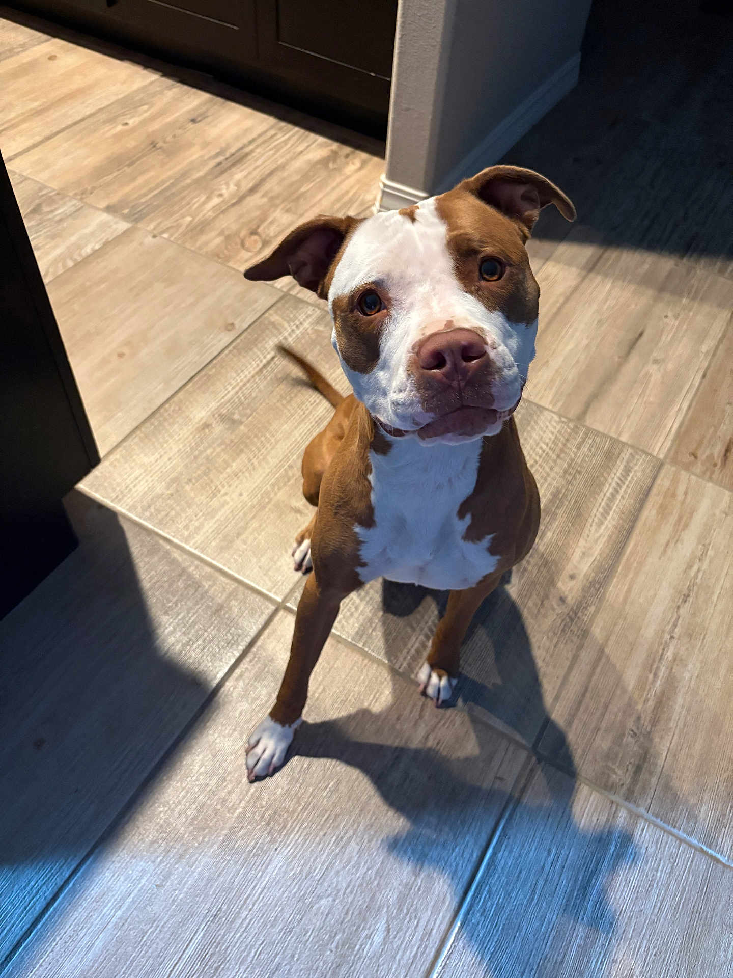Coco