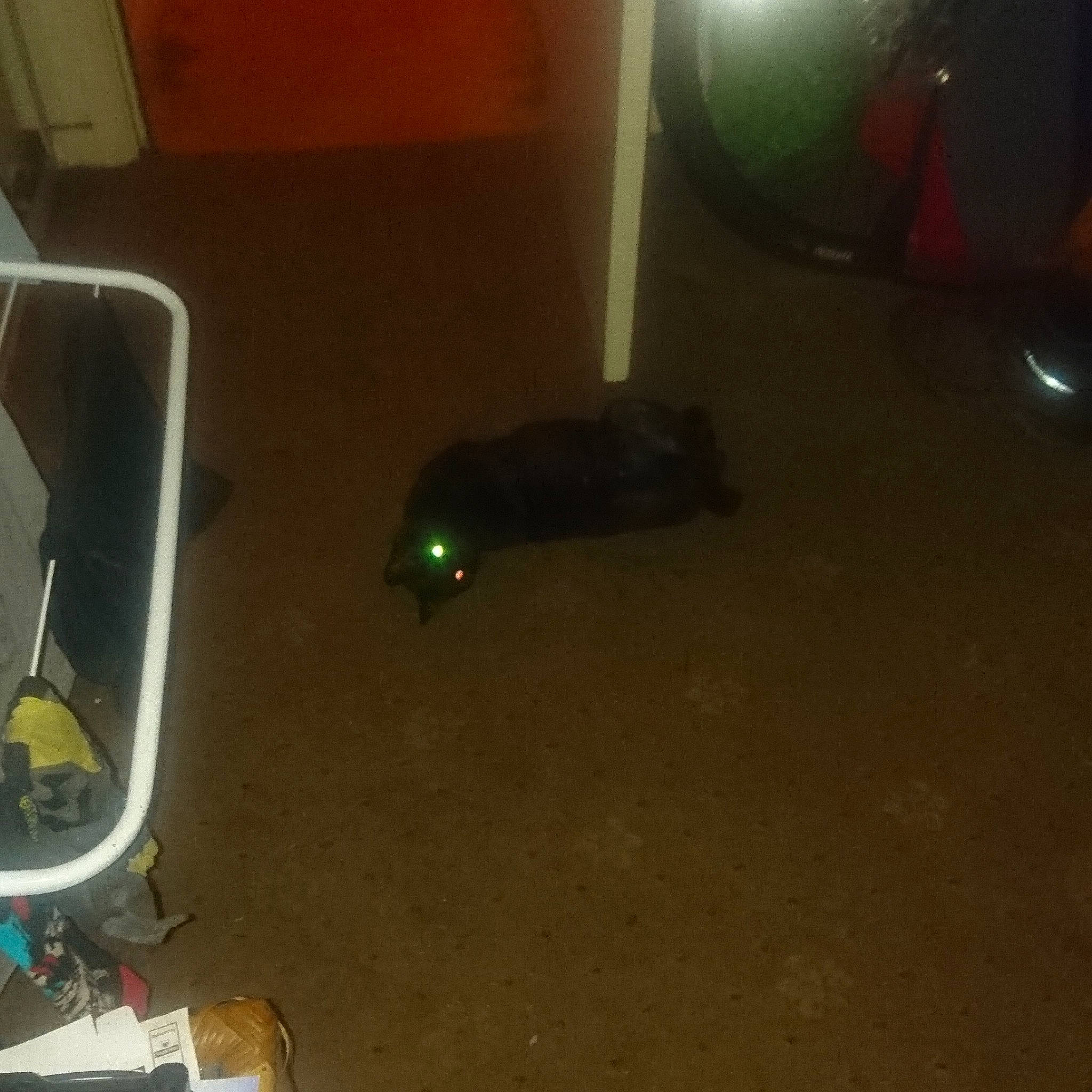 Daisy is registered to the contest to win money with this photo: light, technology