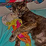 cat, sleeping, stuffed_toy, bed, pillow, floral_pattern, cozy, pet, animal, fur, domestic_cat, resting, cute, colorful, indoors, comfort, snuggling, relaxed, toy, nap