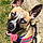 Trixie Lou