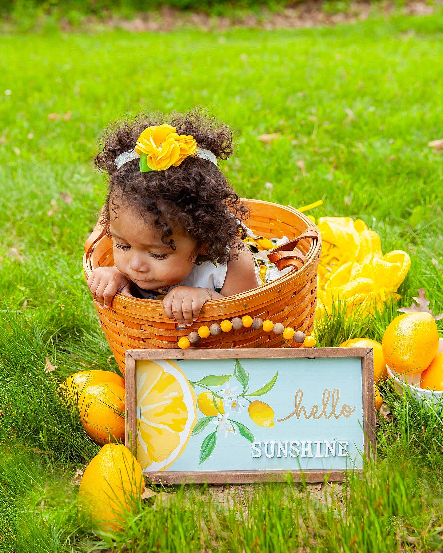 Brooklyn joined the competition — help win amazing prizes! botany, calabaza, child, cucurbita, fruit, grass, happy, leaf, leisure, meadow, morning, natural_foods, nature, orange, people_in_nature, person, plant, pumpkin, summer, tree