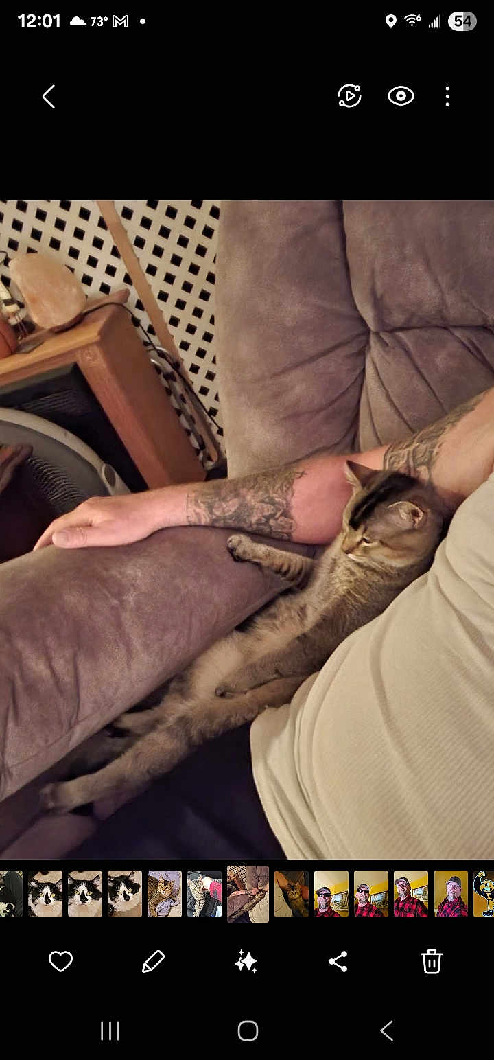 Biscuit