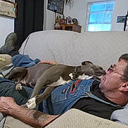 Salina Bug joined the competition — help win amazing prizes! affection, casual_clothing, cat_figurines, clock, couch, curtains, denim_overalls, dog, furniture, glasses, home_decor, indoor, leisure, living_room, man, pet, relaxed, shelf, tattoo, window