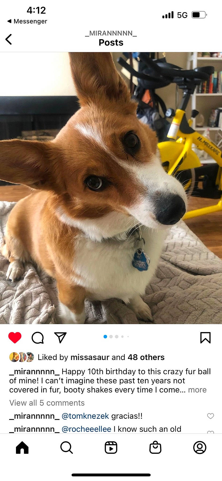 Emily joined the competition — help win amazing prizes! canidae, carnivore, chair, collar, companion_dog, corgi_chihuahua, dog, dog_breed, dog_supply, fawn, font, fur, herding_dog, photo_caption, photography, sporting_group, toy_dog, wheel, whiskers, working_animal