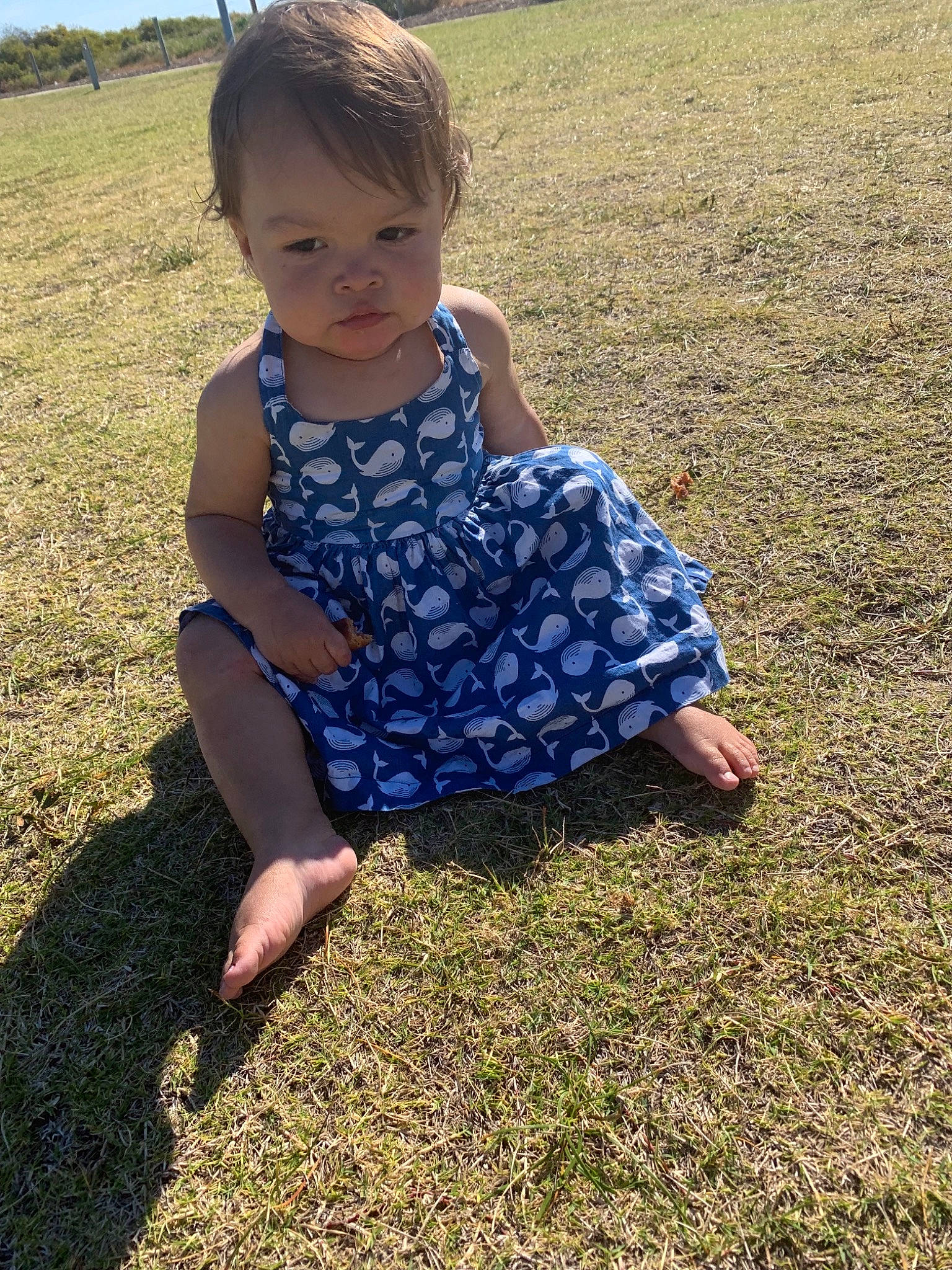 Deliah joined the competition — help win amazing prizes! child, dress, fun, grass, grass_family, lawn, leaf, meadow, pattern, person, plant, play, sitting, smile, spring, summer, toddler, tree, vacation