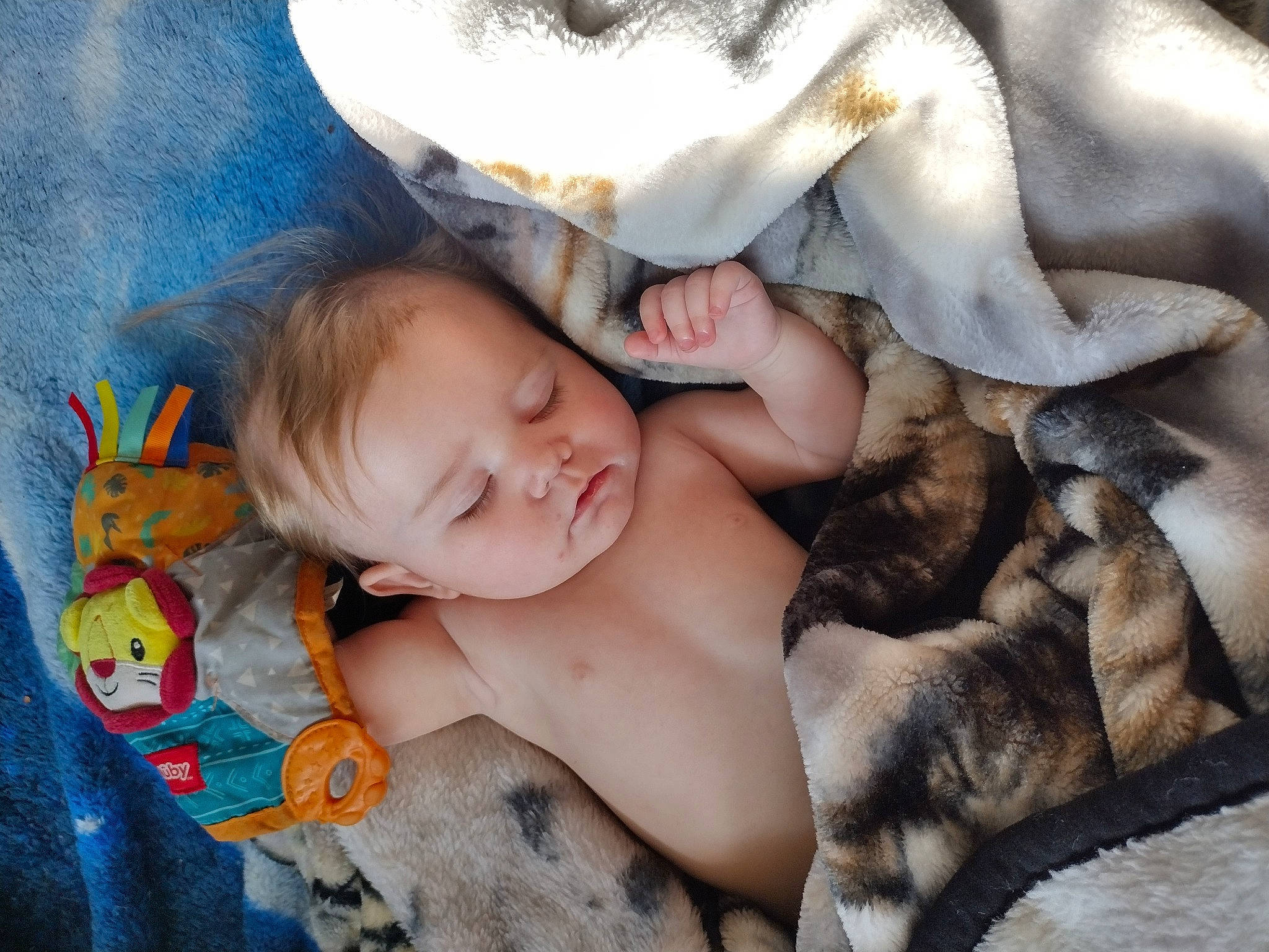 Calliope is registered to the contest to win money with this photo: baby, bedtime, chest, child, comfort, finger, fur, grass, happy, interaction, linens, nap, pattern, people_in_nature, person, sitting, skin, sleep, textile, toddler