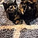 Priddy And Sissy