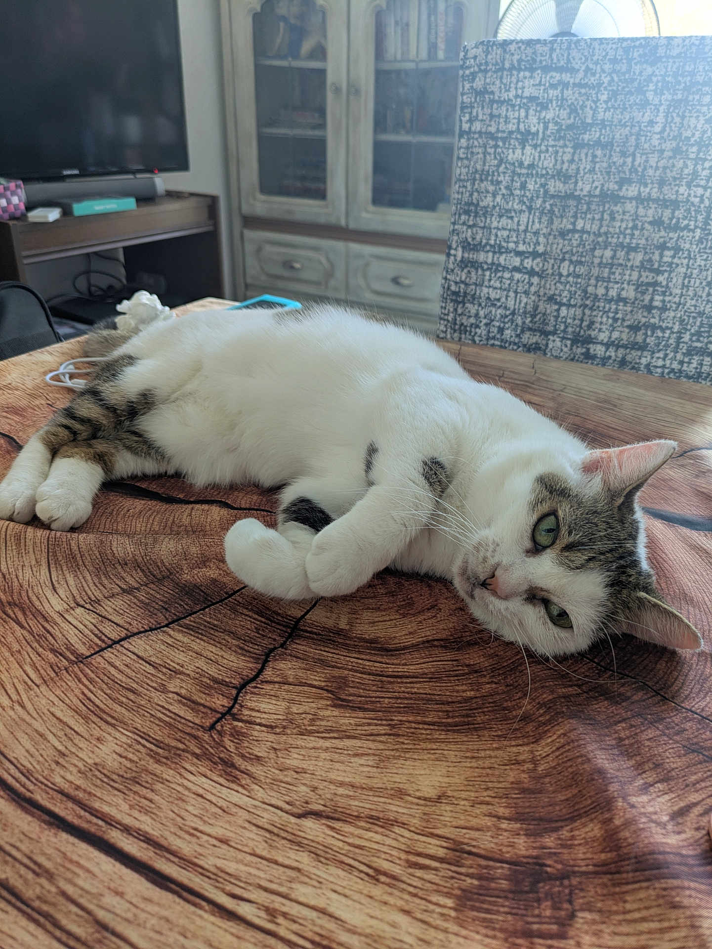Myia