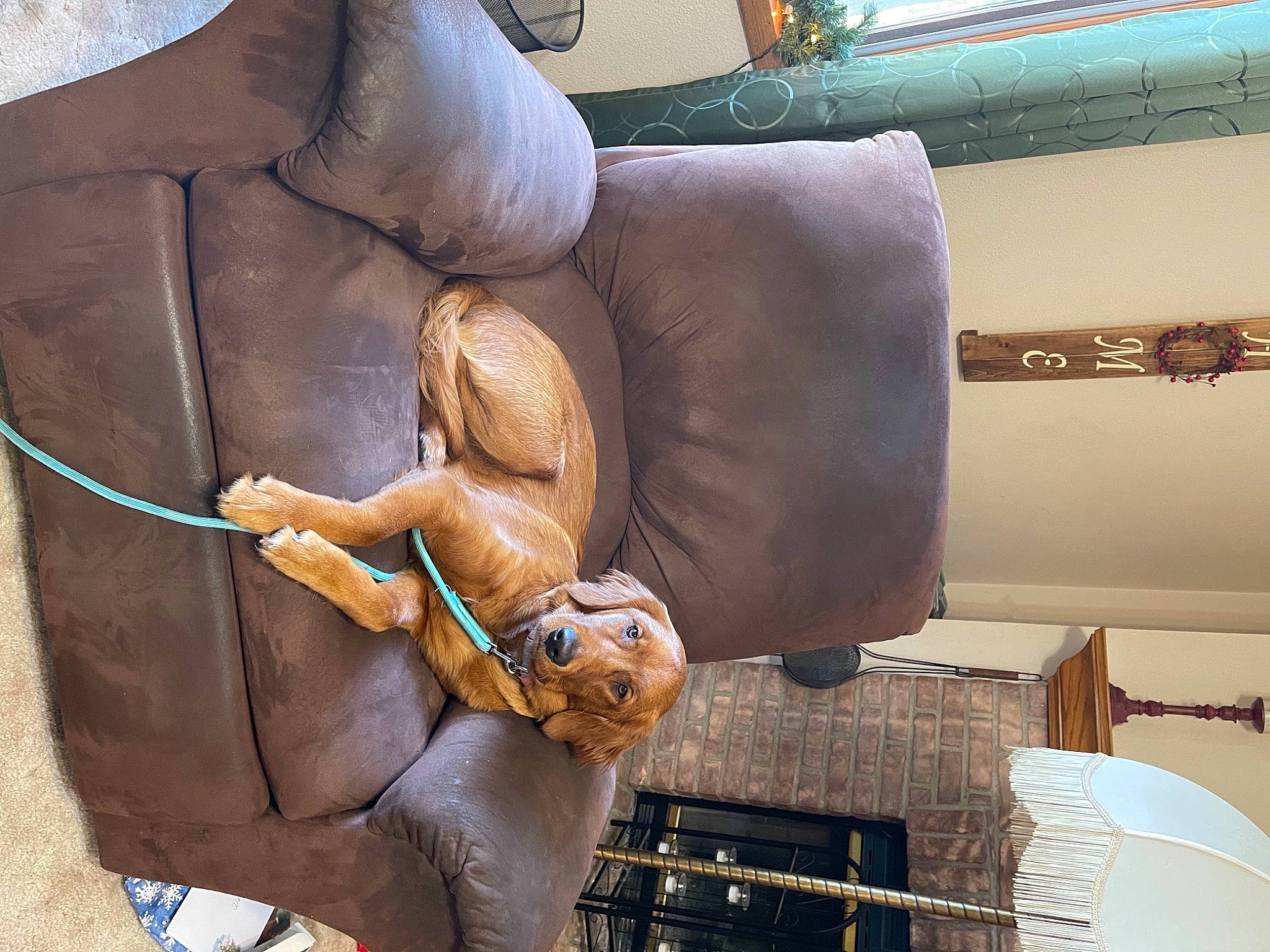 Neeko joined the competition — help win amazing prizes! armrest, couch, leather, living_room, sculpture, stomach, studio_couch, tan