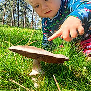 Jade is registered to the contest to win money with this photo: child, toddler, face, blond_hair, outdoor, forest, woodland, grass, mushroom, nature, exploring, pointing, curious, sunlight, trees, portrait, colorful_clothing, long_sleeves, ground, fungus