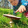 child, toddler, face, blond_hair, outdoor, forest, woodland, grass, mushroom, nature, exploring, pointing, curious, sunlight, trees, portrait, colorful_clothing, long_sleeves, ground, fungus