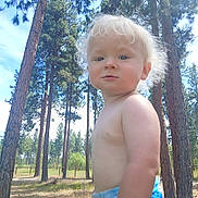 Jade is registered to the contest to win money with this photo: blond_hair, blue_eyes, child, curious, cute, daylight, forest, grass, nature, outdoor, pine_trees, playful, portrait, shirtless, sky, summer, sunlight, toddler, trees, young_child