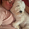 Galak participe au concours pour gagner de l'argent avec cette photo : woman, dog, sleeping, cuddling, bed, indoors, portrait, white_dog, fluffy, relaxed, face, closed_eyes, pet, companion, blanket, pink_clothing, bedroom, cozy, snuggling, photography
