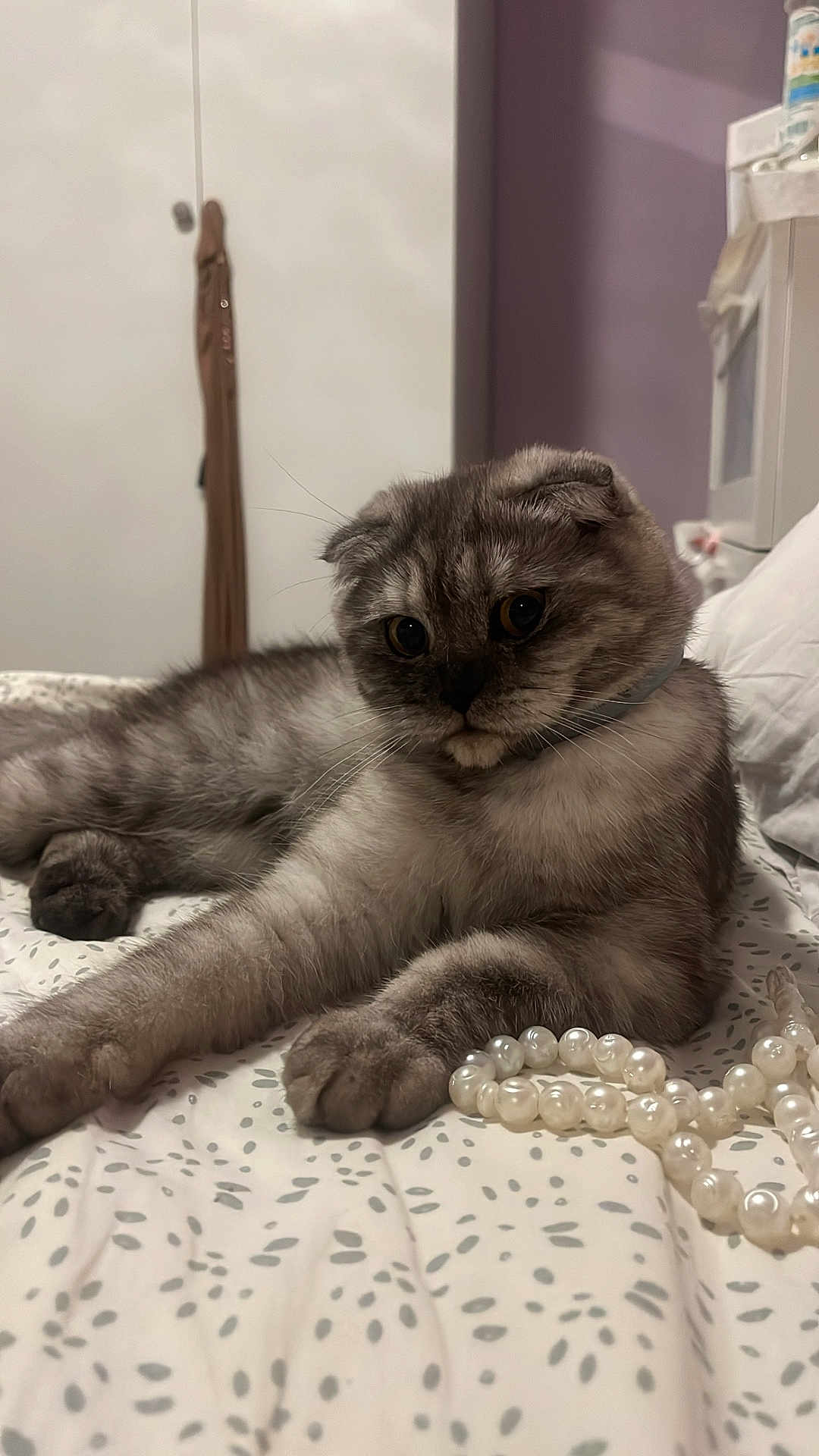 Oly