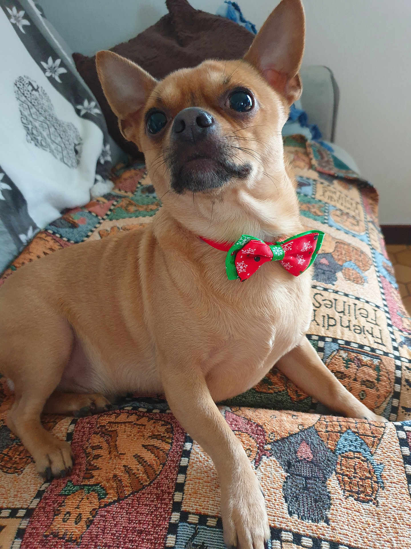 Milo