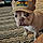 Rocco