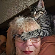 Blobbie Lemew is registered to the contest to win money with this photo: cat, tabby_cat, woman, glasses, face, paw, head, person, indoor, wall, light_hair, smile, resting, man, relaxed, skin, closeup, affection, cozy, humor
