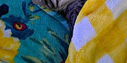 Blobbie Lemew joined the competition — help win amazing prizes! cat, tabby_cat, blanket, yellow_blanket, blue_blanket, floral_pattern, sleeping, cozy, pet, indoor, soft_texture, resting, cute, animal, fur, relaxation, comfort, nap, striped, peaceful