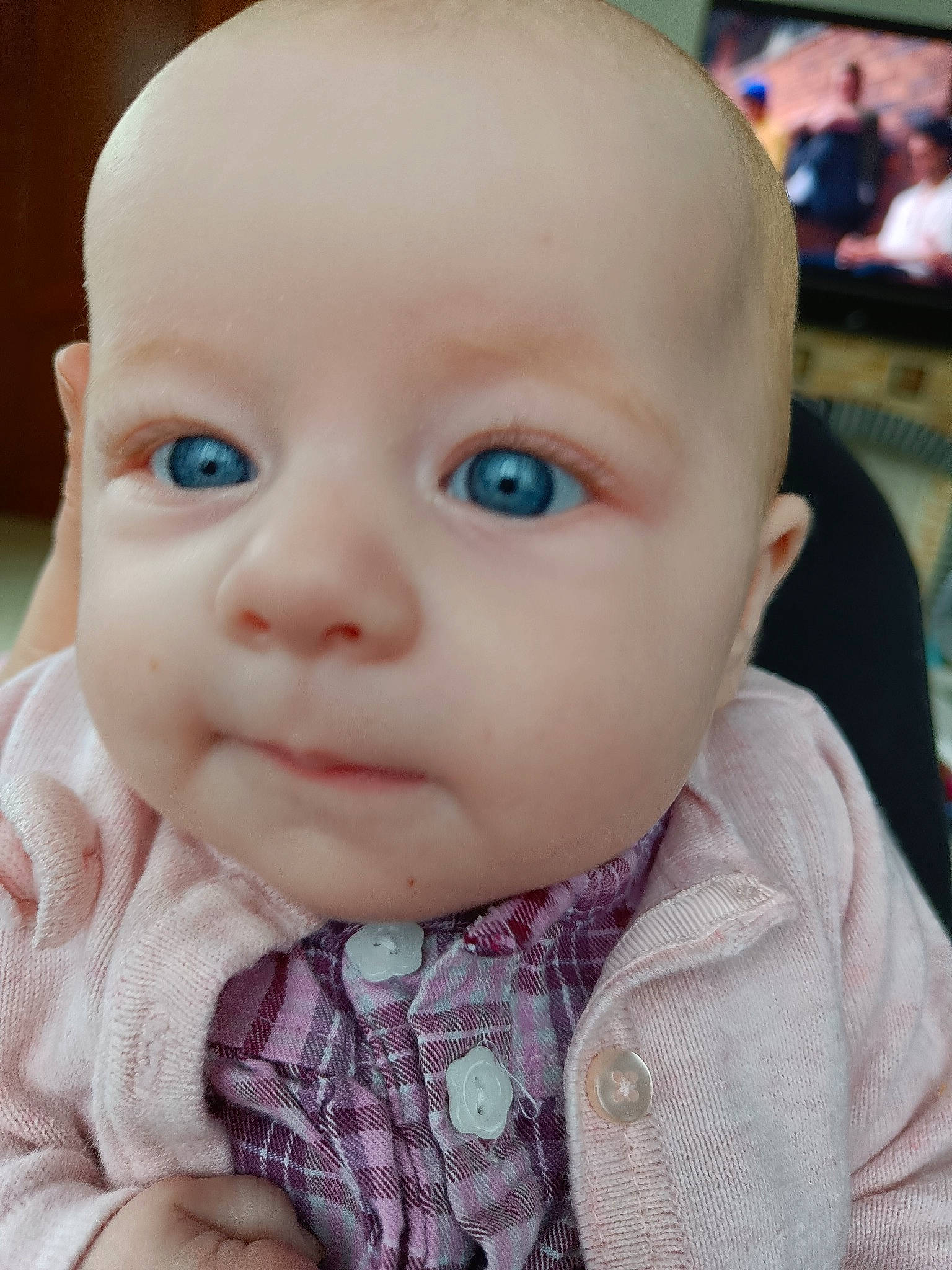 Elena participe au concours pour gagner de l'argent avec cette photo : baby, baby_products, baby_toddler_clothing, cheek, child, collar, ear, eyebrow, eyelash, fur, grass, iris, lip, mouth, nose, pattern, person, sitting, skin, sleeve