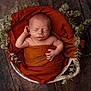 Ysahö a rejoint le concours — aidez-le/la à gagner de superbes lots ! newborn, baby, swaddled, basket, blanket, greenery, foliage, wood_floor, peaceful, sleeping, infant, cute, portrait, cozy, resting, wrapped, soft, warm_colors, hands, head