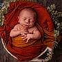 Ysahö a rejoint le concours — aidez-le/la à gagner de superbes lots ! newborn, baby, sleeping, basket, blanket, orange, brown, wrapped, cozy, hands, peaceful, infant, plant, eucalyptus, wooden_floor, portrait, cute, soft_light, resting, child