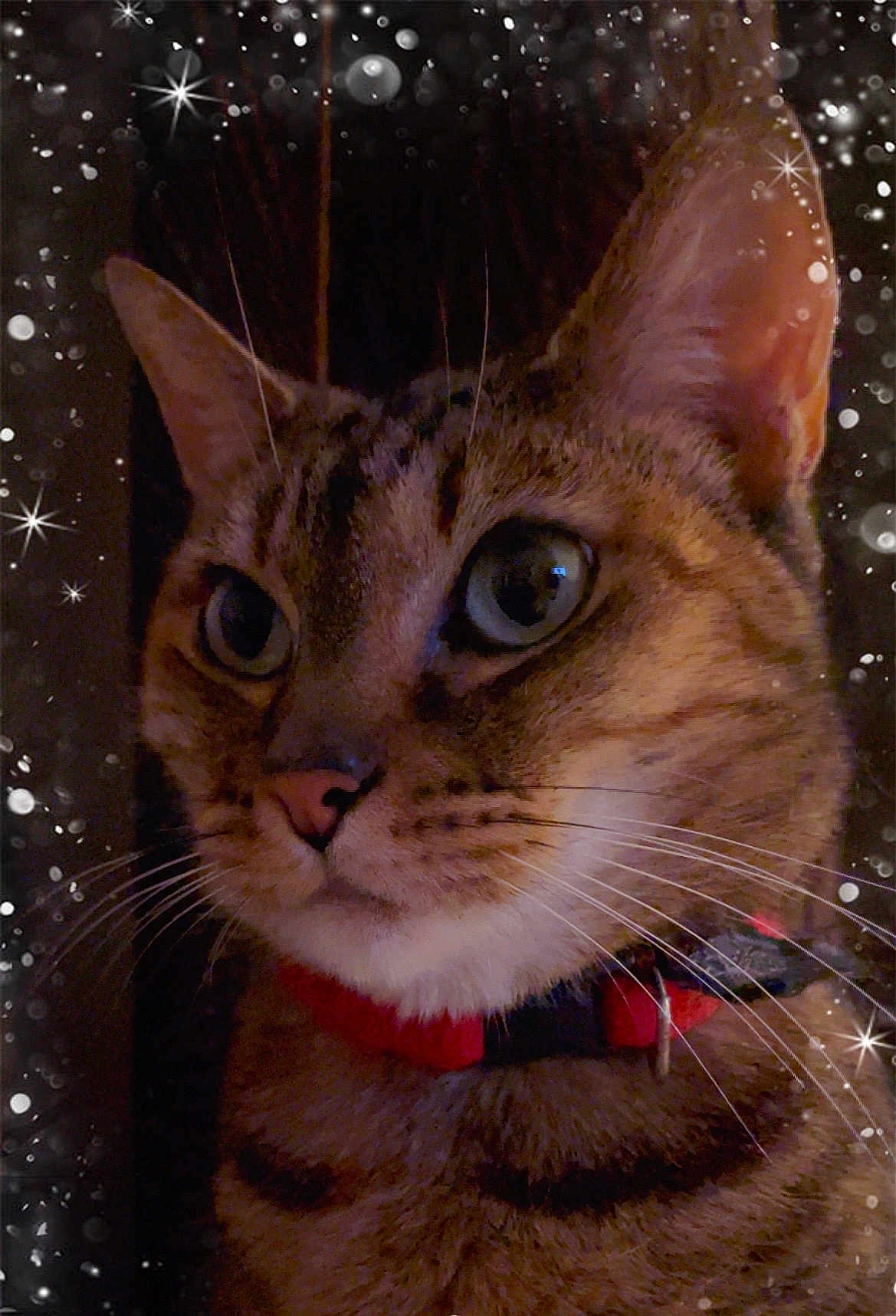 Lilou