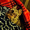 Crumble joined the competition — help win amazing prizes! animal, blanket, brindle, comfort, couch, cozy, cute, dog, domestic_animal, ears, expression, french_bulldog, fur, indoor, looking_up, pattern, pet, plaid, relaxation, snuggle