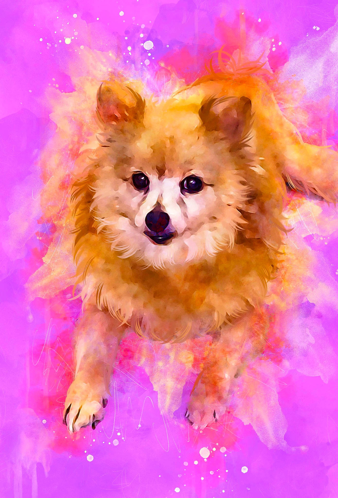 Paris is registered to the contest to win money with this photo: art, canidae, carnivore, companion_dog, dog, dog_breed, dog_supply, event, fawn, fur, german_spitz, german_spitz_klein, magenta, pet_supply, pink, snout, spitz, sporting_group, toy_dog, whiskers