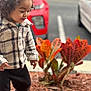 Azhainei joined the competition — help win amazing prizes! toddler, child, outdoor, plant, red_car, parking_lot, jacket, black_pants, shoes, walking, happy, curly_hair, person, side_view, smile, fall, nature, urban, daytime, casual_clothing