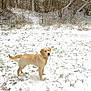 Maicky participe au concours pour gagner de l'argent avec cette photo :