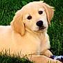 Maicky participe au concours pour gagner de l'argent avec cette photo :