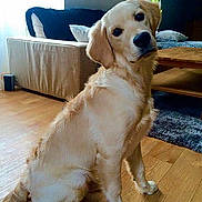 Maicky participe au concours pour gagner de l'argent avec cette photo :