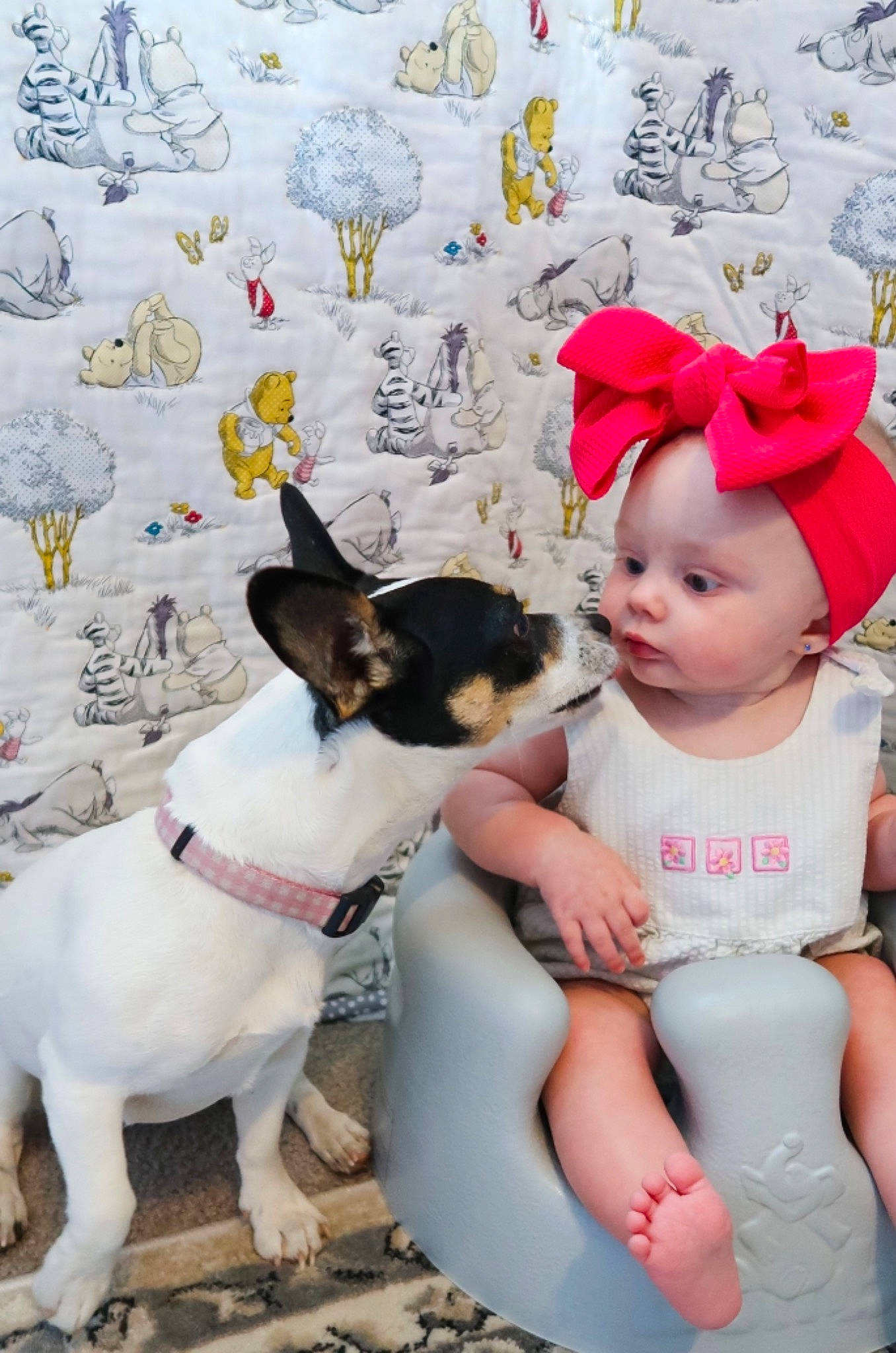 Oaklynn is registered to the contest to win money with this photo: baby, baby_toddler_clothing, cap, carnivore, collar, companion_dog, dog, dog_breed, fawn, happy, hat, pattern, person, pink, small_terrier, sporting_group, sun_hat, terrier, toddler, toy_dog