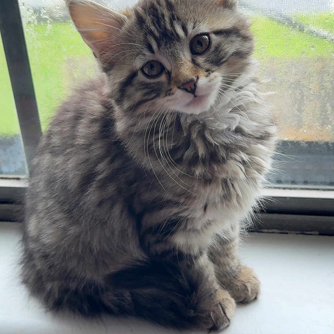 Precious