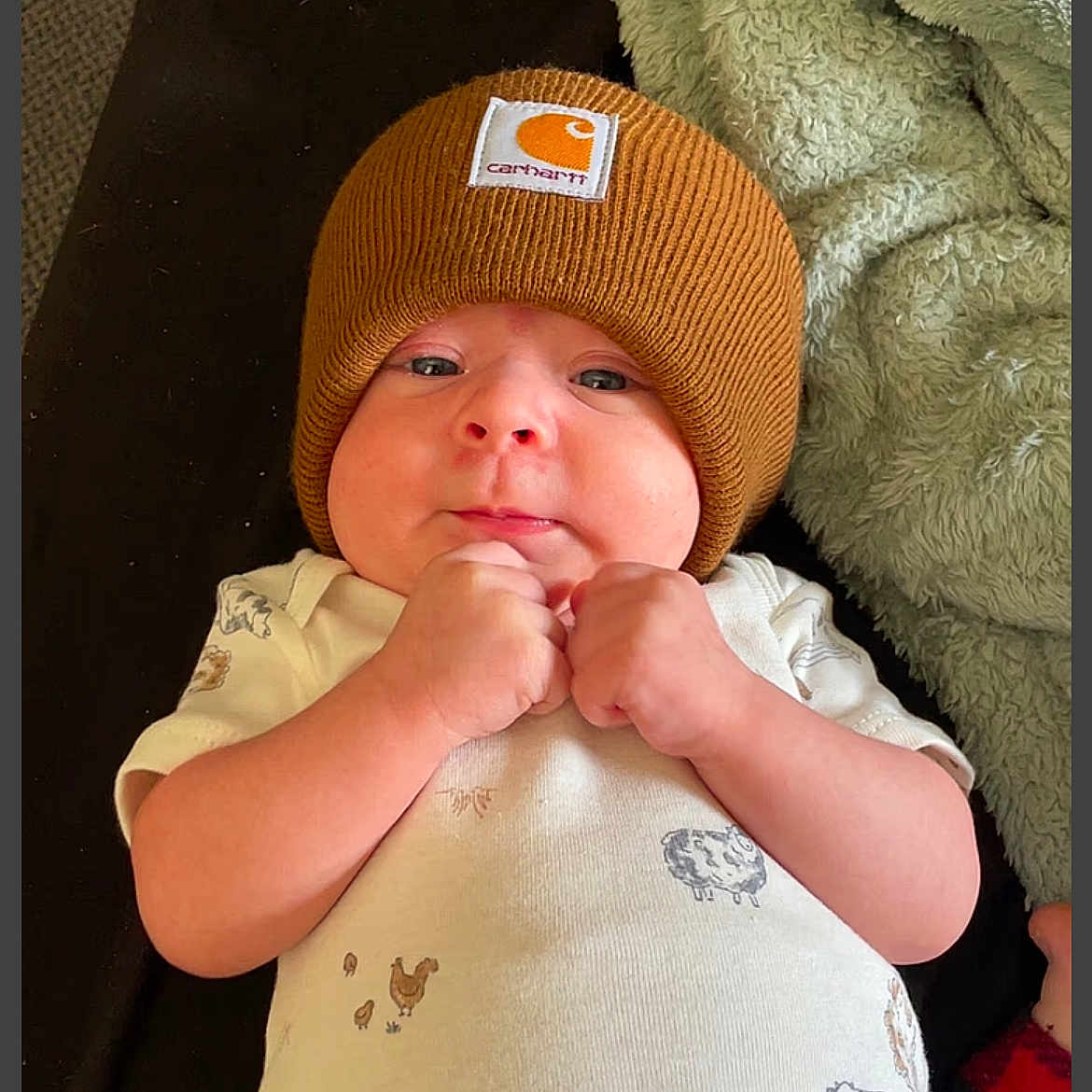Liam joined the competition — help win amazing prizes! animal_prints, baby, beanie, blanket, carhartt, child, clothing, cute, expression, face, fist, hat, indoors, infant, lying_down, person, small, soft_texture, white_shirt, young