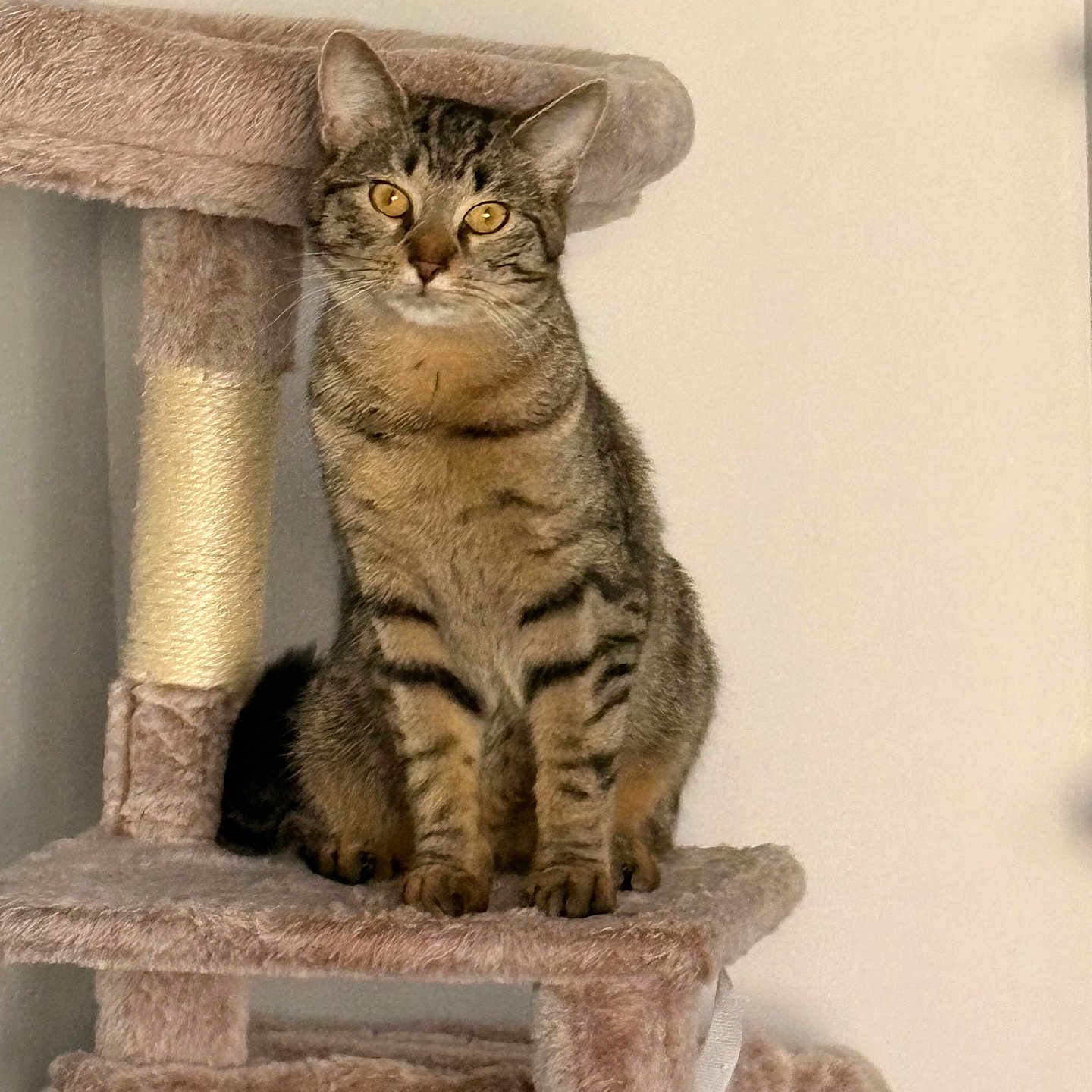 Mila
